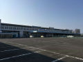 IMG_8504.jpg