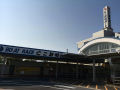 IMG_8509.jpg