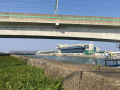 IMG_8525.jpg