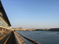 IMG_8605.jpg