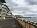 IMG_8961.jpg
