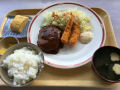 IMG_8990.jpg
