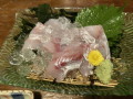 IMG_7490.jpg