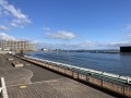 IMG_8720.jpg