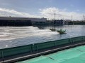 IMG_8889.jpg