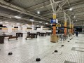 IMG_9175.jpg