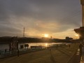 IMG_9194.jpg