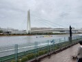 IMG_1206.jpg