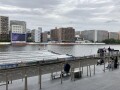 IMG_1335.jpg