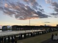 IMG_3649.jpg