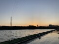 IMG_4290.jpg