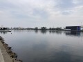 IMG_5560.jpg IMG_5560.jpg