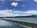 IMG_7678.jpg