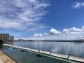 IMG_7890.jpg