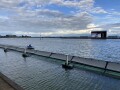 IMG_7929.jpg