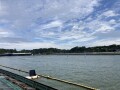IMG_8003.jpg