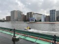 IMG_8233.jpg