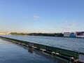 IMG_8346.jpg