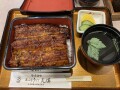 IMG_8528.jpg