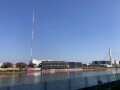 IMG_8658.jpg