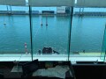 IMG_1815.jpg IMG_1815.jpg