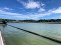 IMG_3139.jpg