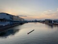 IMG_5622.jpg