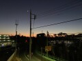 IMG_5667.jpg