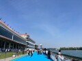 IMG_6995.jpg