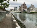 IMG_7326.jpg
