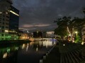 IMG_7330.jpg