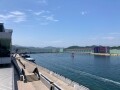 IMG_7385.jpg