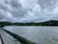 IMG_7896.jpg