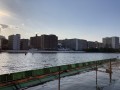 IMG_0862.jpg