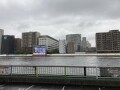 IMG_0876.jpg