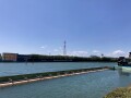 IMG_0881.jpg