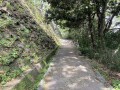IMG_1051.jpg