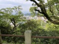 IMG_1052.jpg