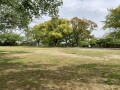 IMG_1054.jpg