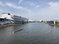 IMG_1145.jpg