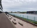 IMG_1194.jpg