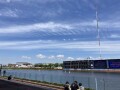 IMG_1216.jpg