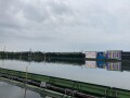 IMG_1376.jpg