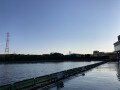IMG_1411.jpg
