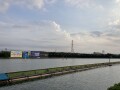 IMG_1429.jpg