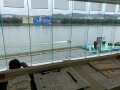 IMG_1464.jpg