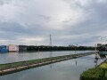 IMG_1551.jpg