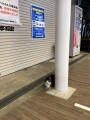 IMG_1881.jpg IMG_1881.jpg