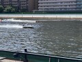 IMG_2259.jpg