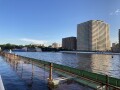 IMG_2264.jpg